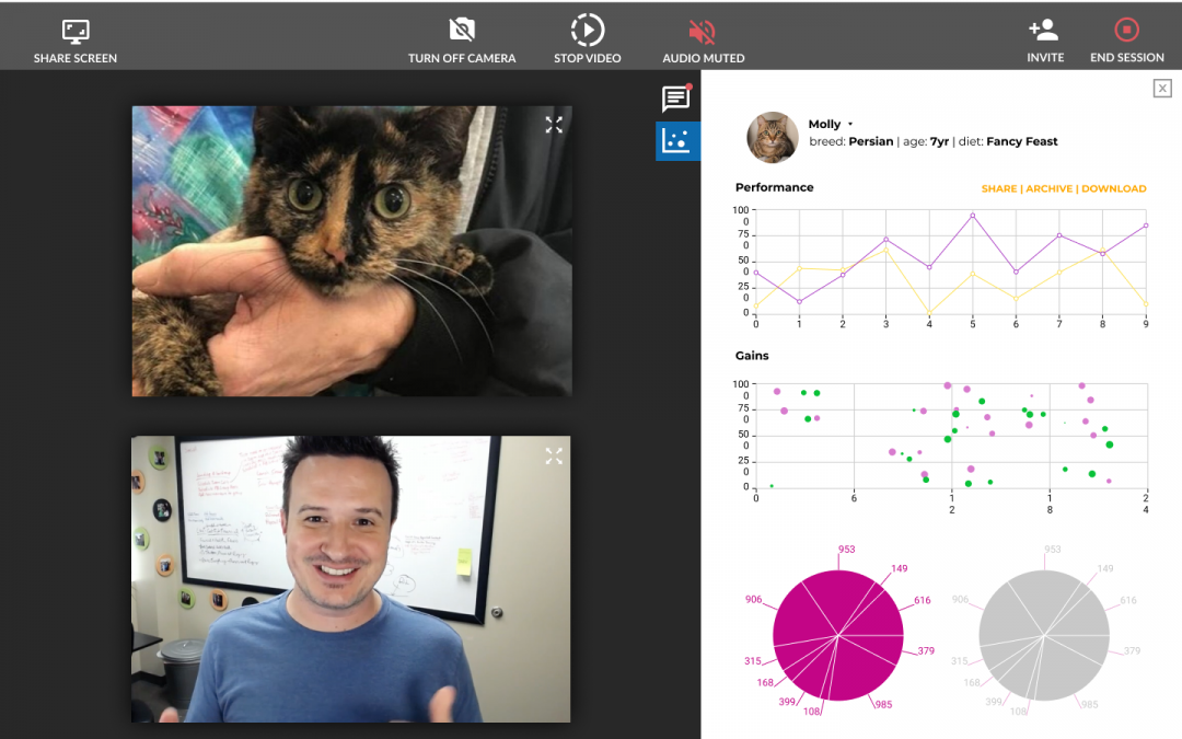 BasePaws – Health One Solutions