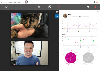 BasePaws – Health One Solutions